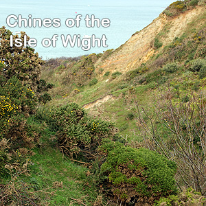 Logo for Chines of the Isle of Wight - part of the Coastal Trail